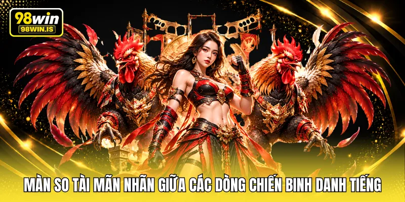 man so tai man nhan giua cac dong chien binh danh tieng Màn so tài mãn nhãn giữa các dòng chiến binh danh tiếng